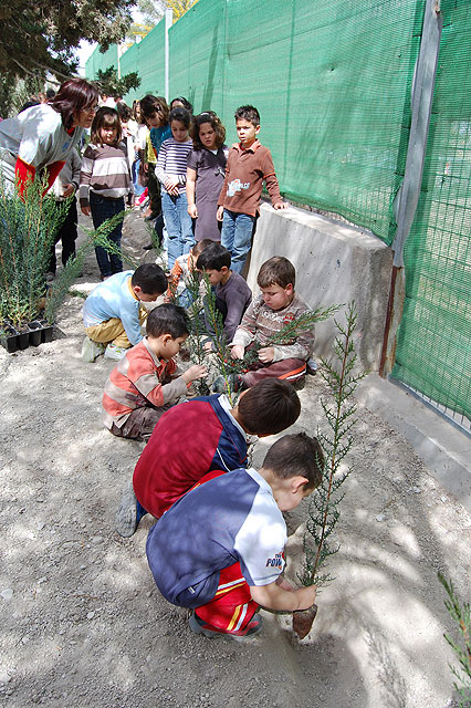 Los escolares ilorcitanos reciben la primavera plantando árboles - 3, Foto 3