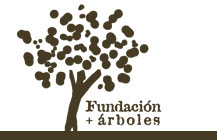 La Fundación +árboles se presenta en Murcia mañana jueves - 1, Foto 1