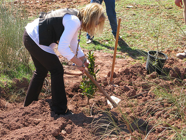 La Fundación +árboles busca cómplices en Murcia - 1, Foto 1