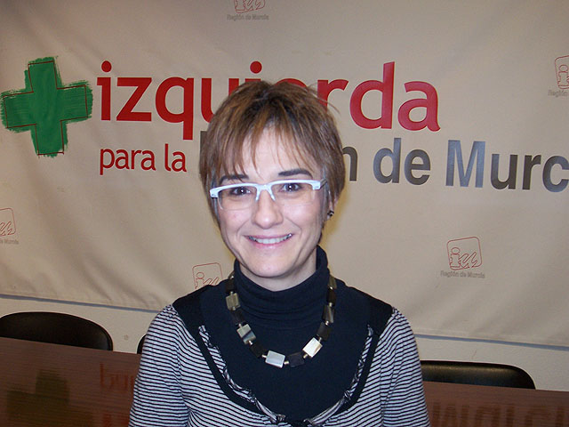 IU+Los Verdes denuncia el excesivo coste de la oficina de Extranjería de Murcia - 1, Foto 1