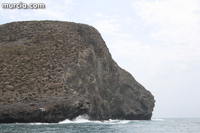 ANSE estudia las migraciones de aves desde Isla Grosa - 5, Foto 5