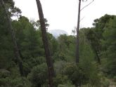 Proteccin Civil informa de que, tras las ltimas lluvias torrenciales y la nieve, ha rebrotado despus de muchos años el ro Espuña