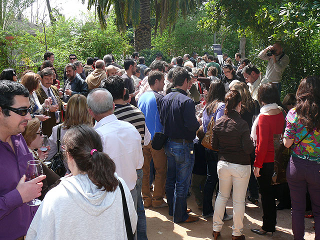 Más de mil personas estuvieron presentes en la IX Miniferia del Vino de Jumilla en la que participaron 20 bodegas - 2, Foto 2