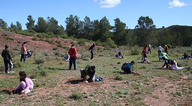 Montes continúa con su campaña de reforestación - 3, Foto 3