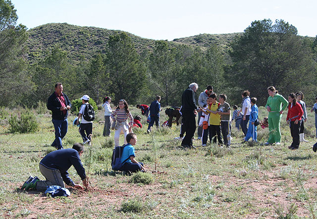 Montes continúa con su campaña de reforestación - 4, Foto 4