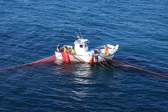 Agricultura constata el incremento de las pesquerías del Mar Menor en los últimos cuatro años - 1, Foto 1