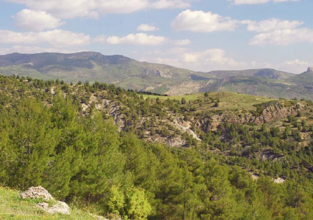 Obras Públicas da la aprobación inicial a las Directrices para impulsar el desarrollo de la comarca del Noroeste - 1, Foto 1