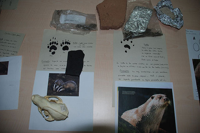 El Parque Ecológico Vicente Blanes se acerca a las familias de Molina de Segura a través de un atractivo programa de actividades - 4, Foto 4