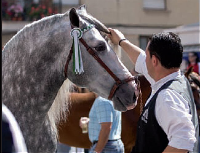 Fiestas en honor de la Santísima y Vera Cruz de Caravaca. Programa Oficial 2009 - 1, Foto 1