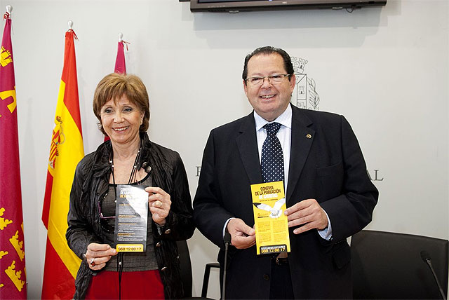 En marcha una campaña para evitar que las gaviotas aniden en la ciudad - 1, Foto 1