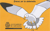 En marcha una campaña para evitar que las gaviotas aniden en la ciudad