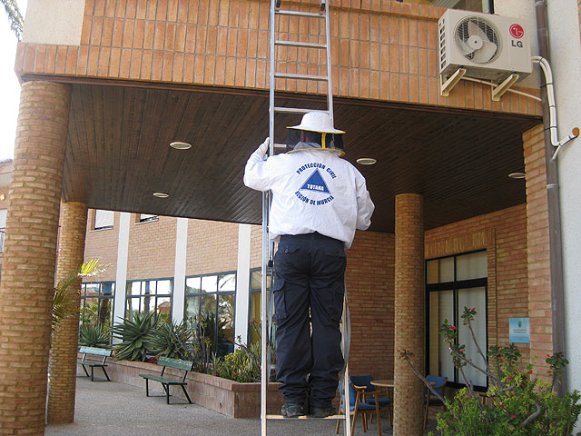 Voluntarios de Protección Civil efectúan dos salidas de emergencia para retirar enjambres de abejas, Foto 3