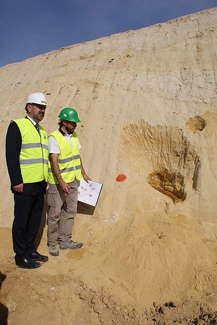 El delegado del Gobierno visita los hallazgos paleontológicos descubiertos en el Puerto de la Cadena con motivo de las obras de la Conexión Suroeste - 1, Foto 1