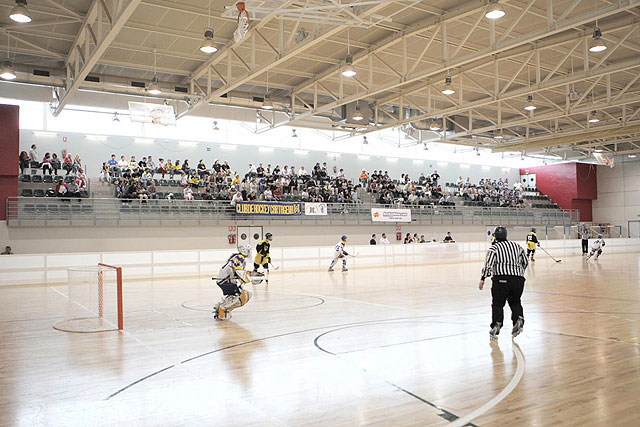 Los castellanoleoneses se llevan el XI Campeonato de España 2009 de Hockey Línea Junior - 3, Foto 3