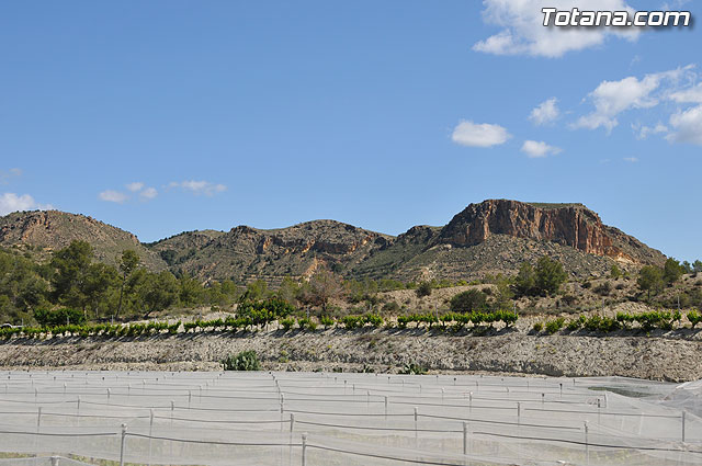 Las obras de pavimentacin de los diez caminos rurales, realizadas a travs del Fondo Estatal de Inversin Local, se encuentran en su fase de finalizacin - 3