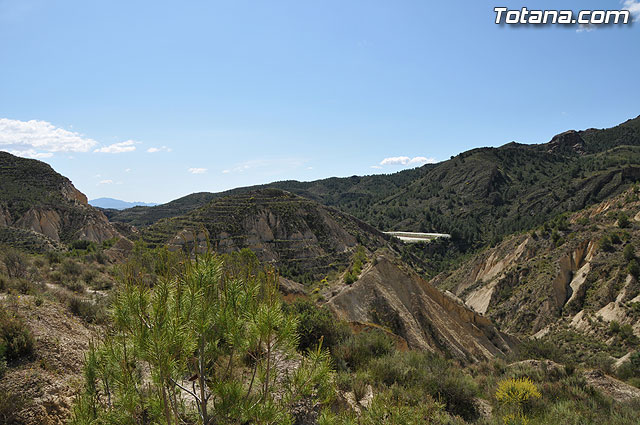 Las obras de pavimentacin de los diez caminos rurales, realizadas a travs del Fondo Estatal de Inversin Local, se encuentran en su fase de finalizacin - 6