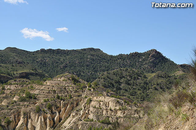 Las obras de pavimentacin de los diez caminos rurales, realizadas a travs del Fondo Estatal de Inversin Local, se encuentran en su fase de finalizacin - 7