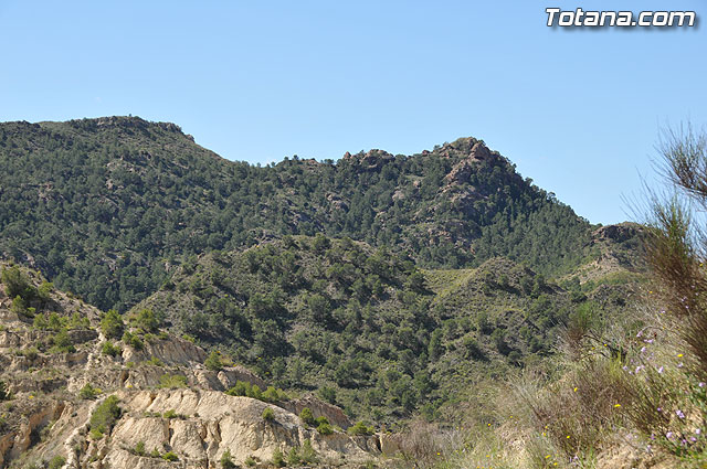 Las obras de pavimentacin de los diez caminos rurales, realizadas a travs del Fondo Estatal de Inversin Local, se encuentran en su fase de finalizacin - 8