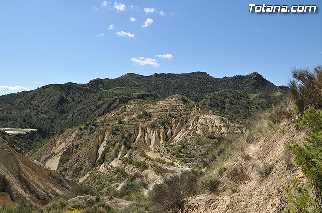 Las obras de pavimentacin de los diez caminos rurales, realizadas a travs del Fondo Estatal de Inversin Local, se encuentran en su fase de finalizacin - 9