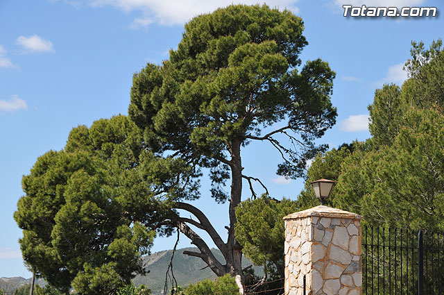 Las obras de pavimentacin de los diez caminos rurales, realizadas a travs del Fondo Estatal de Inversin Local, se encuentran en su fase de finalizacin - 17