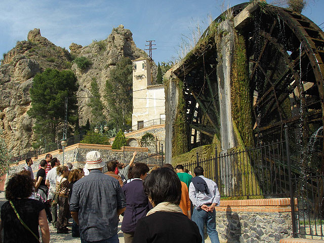 Celebrada la jornada de conservación de las riberas del río Segura en Abarán - 1, Foto 1