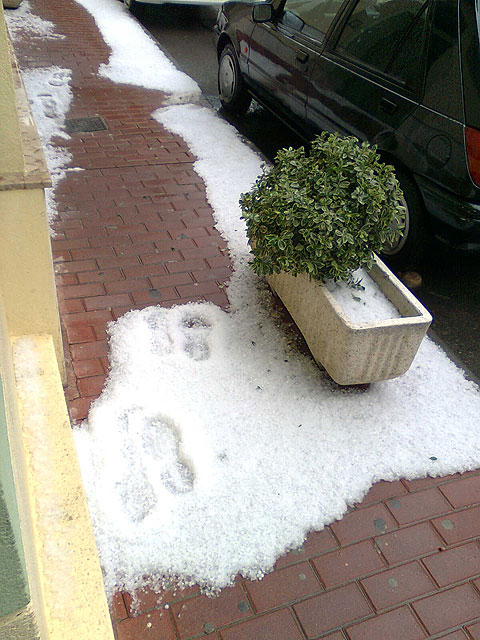 Fuertes lluvias y granizo en el municipio de Abarán - 5, Foto 5
