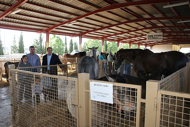 El alcalde de Puerto Lumbreras inaugura la Feria de Ganado Equino 2009 - 1, Foto 1