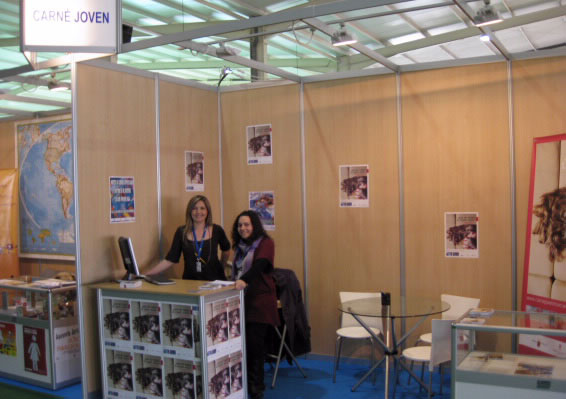 El Consejo de la Juventud de Lorca informa sobre el programa Carné Joven - 1, Foto 1