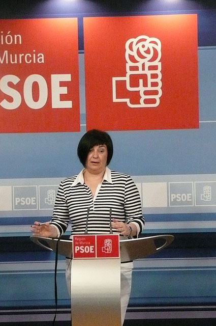 El PSOE exige al Gobierno regional que desarrolle la Ley de Renta Básica de Inserción - 1, Foto 1