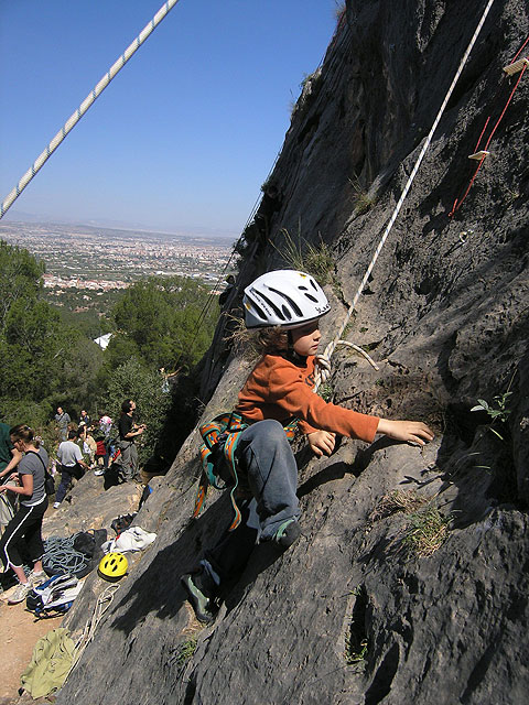 Turismo propone este fin de semana una ruta entre fósiles y tiburones - 1, Foto 1