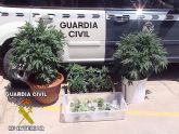 La Guardia Civil detiene a dos personas por tráfico de drogas en Águilas y Santomera