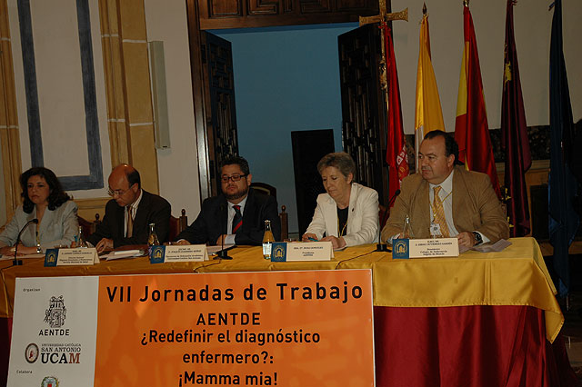 Expertos internacionales debaten sobre el diagnóstico enfermero - 1, Foto 1