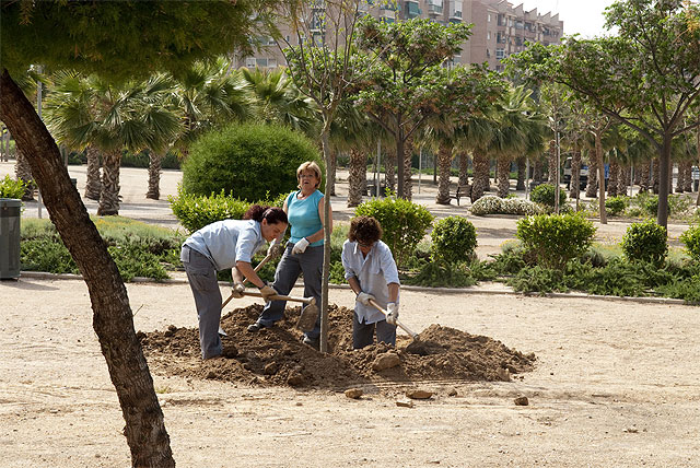 Más sombra en el Parque de la Rosa - 1, Foto 1