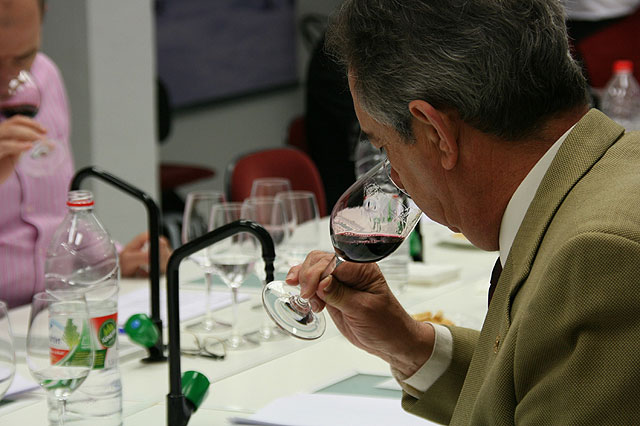 Celebrado el II Certamen Selección Vinos DO Yecla 2009 - 1, Foto 1