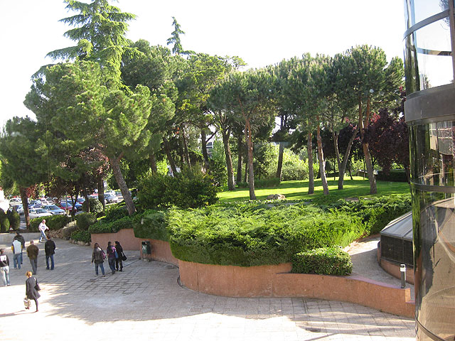 Medio centenar de socios del Centro Municipal de Personas Mayores viajan a Madrid para participar en el programa “Saber Vivir” - 3