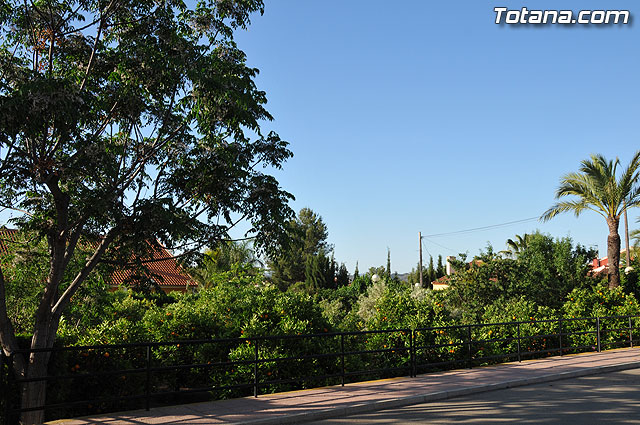 Inaugurado el  “III Curso Internacional de Formacin Continuada en Hemofilia y otras Coagulopatas Congnitas” - 2