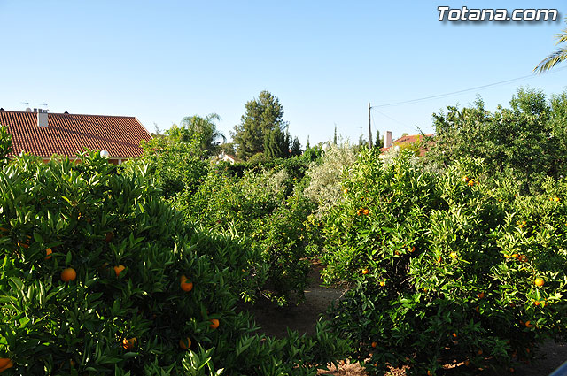 Inaugurado el  “III Curso Internacional de Formacin Continuada en Hemofilia y otras Coagulopatas Congnitas” - 5