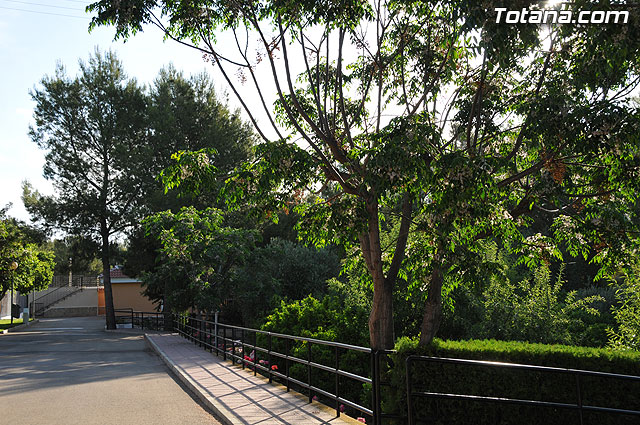 Inaugurado el  “III Curso Internacional de Formacin Continuada en Hemofilia y otras Coagulopatas Congnitas” - 6