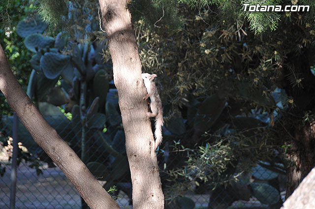 Inaugurado el  “III Curso Internacional de Formacin Continuada en Hemofilia y otras Coagulopatas Congnitas” - 12