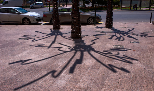 Palmeras de MUHER en la ciudad de Murcia - 3