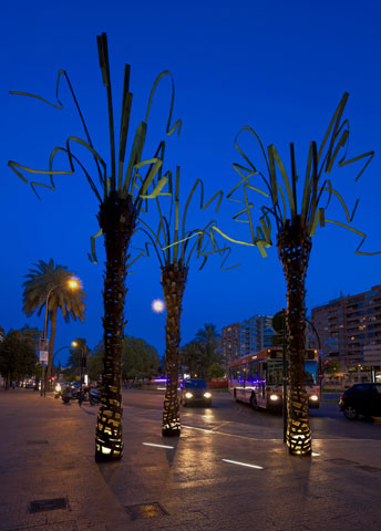 Palmeras de MUHER en la ciudad de Murcia - 10