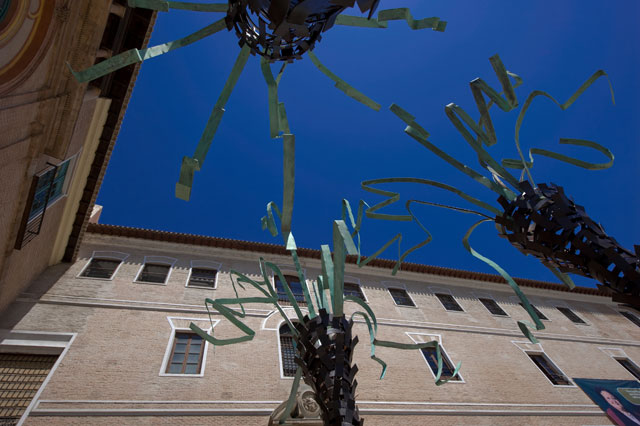 Palmeras de MUHER en la ciudad de Murcia - 4