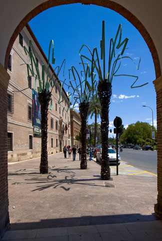 Palmeras de MUHER en la ciudad de Murcia - 5