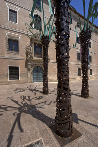 Palmeras de MUHER en la ciudad de Murcia - 6