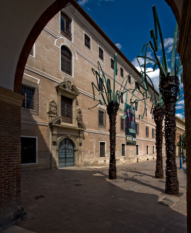 Palmeras de MUHER en la ciudad de Murcia - 8