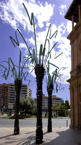 Palmeras de MUHER en la ciudad de Murcia - 9