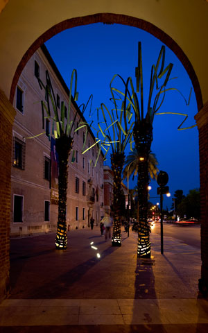 Palmeras de MUHER en la ciudad de Murcia - 11