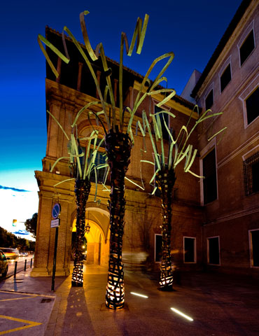 Palmeras de MUHER en la ciudad de Murcia - 12