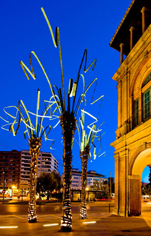 Palmeras de MUHER en la ciudad de Murcia - 13