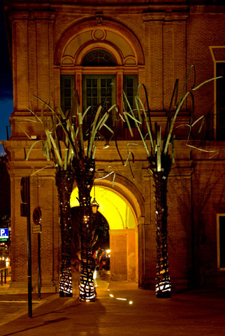 Palmeras de MUHER en la ciudad de Murcia - 14